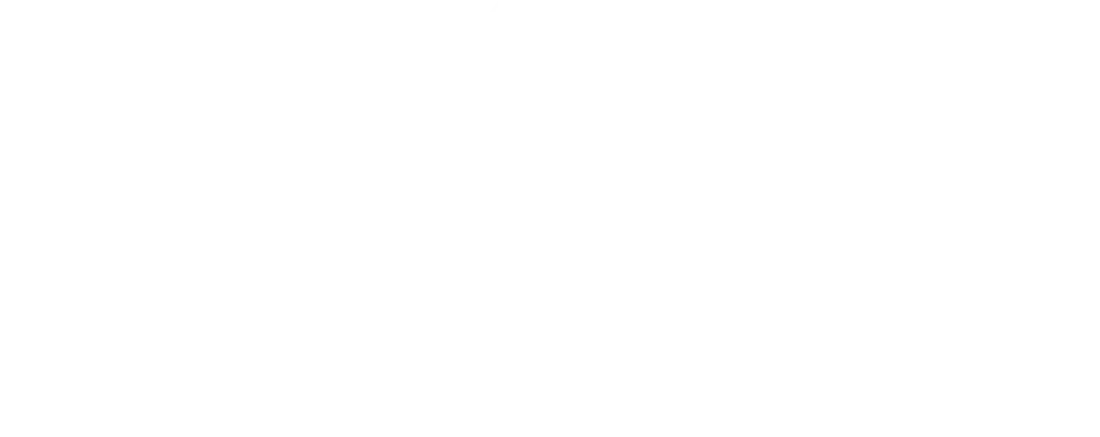 Dolomech